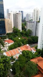 The Peak @ Cairnhill II (D9), Apartment #272093591